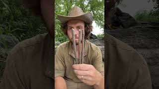 Primitive LiveCatch Trap  Figure 4 Trap survival outdoorskills primitivetechnology bushcraft [upl. by Nealson]