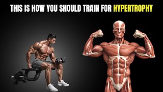 What is HYPERTROPHY and how does it happen  FIT FUNDAMENTALS [upl. by Pavla]