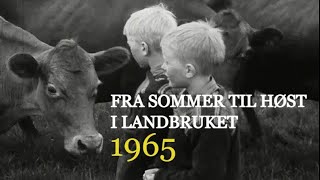 Fra sommer til høst i landbruket  1965 [upl. by Enalb]