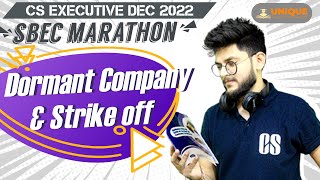 DORMANT COMPANY AND STRIKE OFF DETAILED LECTURE  SBEC PART C MARATHON [upl. by Mairb]