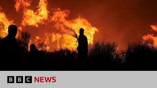 Thousands evacuated in Greece as wildfires approach Athens  BBC News [upl. by Eeresed]