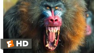 Jumanji The Next Level 2019  Mandrill Attack Scene 410  Movieclips [upl. by Allard]