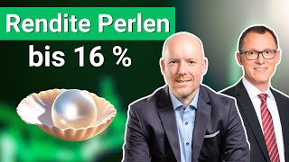 Unbekannte DividendenPerlen bis 16  Rendite ► Mit Swen Lorenz und Norbert Schmidt [upl. by Miarhpe]