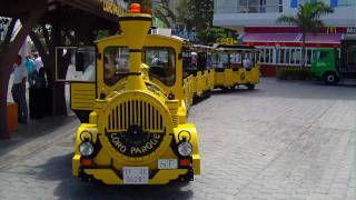 Loro Parque Train HD [upl. by Gnuy]