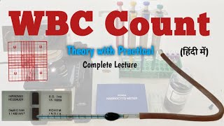 TLC  WBC Count  Complete Lecture with Practical by neubauer counting chamber in hindi [upl. by Hosfmann]