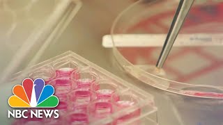 New Treatment Could Help Melanoma Patients [upl. by Penny]