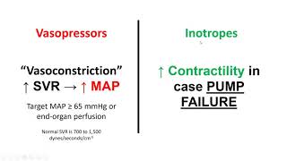 Vasopressors and Inotropes [upl. by Attej]