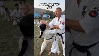 Bunkai Kata Pinan Sono Ichi Kyokushin  Karate Application  Kyokushin Kai Kan  Kata Applications [upl. by Corella87]