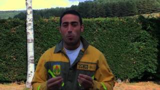 INCENDIOS FORESTALES EPRIF  Actuaciones en la interfaz agroforestal [upl. by Aiksas]