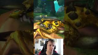 TimeLost ProtoDrake  World of Warcraft Secrets amp Easter Eggs [upl. by Ahsenra566]