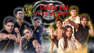 Cobra Kai in 38 de minute [upl. by Aland]