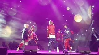 LUCENTE  FALLING PETALS fancam [upl. by Finella184]