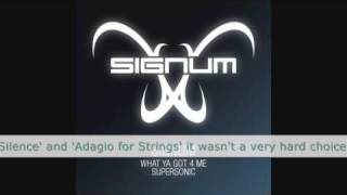 Signum  What Ya Got 4 Me Yvan Prog Progtrance Mix [upl. by Ulland]