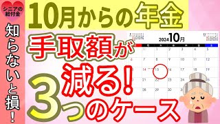 令和6年10月から年金の手取り額が大きく変わるケース年金の手取り額が変わる人、変わらない人。年金月15万円年間180万円もらう人の年金手取額も図を使って徹底解説！ [upl. by Kirbee611]