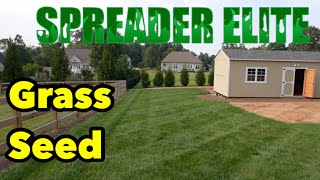 Turf Type Tall Fescue Grass Seed That Does WHAT [upl. by Barcot]