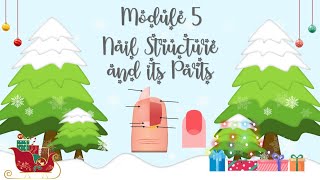 TLE Grade 78 Nail Care Module 5 Nail Structure and Its Parts [upl. by Stacie]