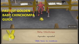 Fastest way to get Golden Baby Chinchompa Pet OSRS [upl. by Lottie]