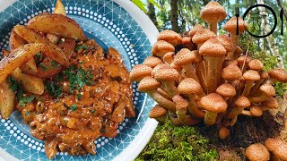 Nejlepší recept z Václavek Stroganov z Václavek Houbové recepty [upl. by Cypro]