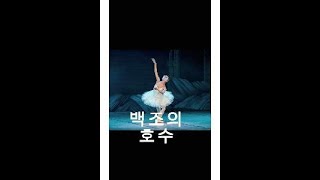 차이코프스키 백조의 호수 Tchaikovsky Swan Lake [upl. by Zil]