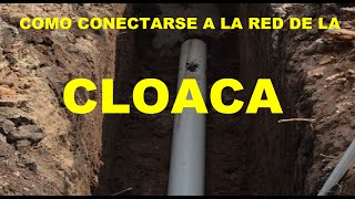 COMO CONECTARSE A LA RED DE LA CLOACA 🚽🛁🛀🤷‍♀️⚒️⛏️ [upl. by Thetisa]