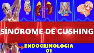 SÃNDROME DE CUSHING CAUSAS SINTOMAS DIAGNOSTICO TRATAMENTO  ENDOCRINOLOGIA [upl. by Tiler]