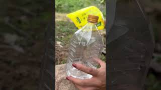 Survival Skill  Make hand sanitizer with water bottle survival camping jungle [upl. by Lodge]