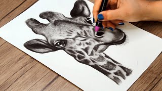 How to Draw a Giraffe for Beginners  Step by Step Pencil Drawing [upl. by Annauqaj88]