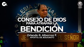 Consejo para atrapar la Bendición  Apóstol Orlando Albornoz [upl. by Eirrot672]