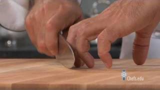 How to Hold a Knife  Properly Using a Chefs Knife [upl. by Prowel214]