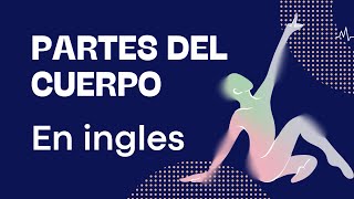 🌟 Órganos del Cuerpo Humano en Inglés Aprende Vocabulario Esencial para Enfermería 🌟 [upl. by Emelia]