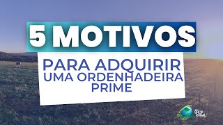 Ordenhadeira 5 motivos para comprar uma Ordenhadeira Prime [upl. by Starobin20]