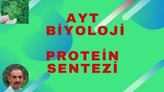 PROTEİN SENTEZİ  AYT BİYOLOJİ  HERKES ANLASIN DİYE [upl. by Victorie]