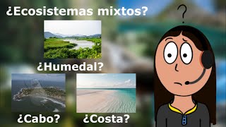 Ecosistema mixto  JEAR [upl. by Jesse]