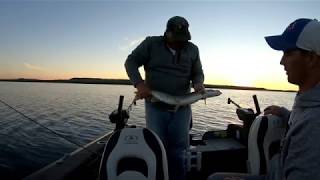 Chasing monster Manitoulin Walleye [upl. by Grimbal]