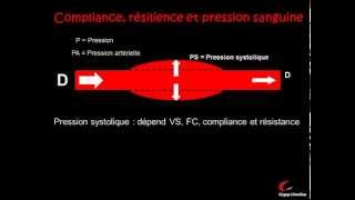 La circulation sanguine et la pression artérielle [upl. by Thurstan]