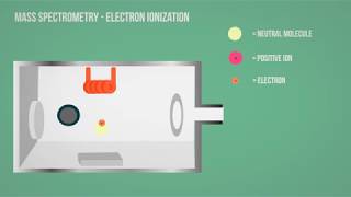 MS  Mass Spectrometry  Electron Ionization Animation [upl. by Aerdnaed]