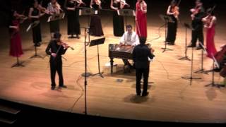 Hora Staccato Robert Margaryan violin New Generation Chambre Orchestra [upl. by Nho266]