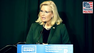 Liz Cheney WEIGHS IN on Biden vs Trump with BLUNT Warning [upl. by Haliek860]