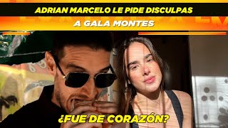 Adrian Marcelo le pide disculpas a Gala Montes 😱 ¿Fue de corazón [upl. by Portia]