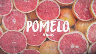 POMELO  ZEBALLOS [upl. by Wrennie]