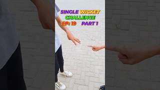 Single Wicket Challenge  EP 19  🏏 🔥 🤣 balltostump trending ytshorts forpage cricket [upl. by Irat]