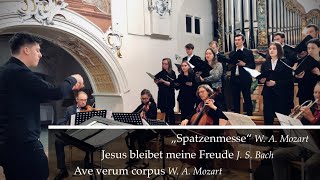 Spatzenmesse W A Mozart  Christoph Mairiedl  Primiz Moritz Waldhauser [upl. by Nevuer]