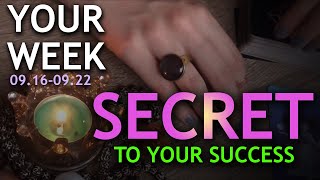 ASMR  Gain Momentum  Weekly Tarot amp Gipsy Card Guidance  09160922 [upl. by Etnoval838]