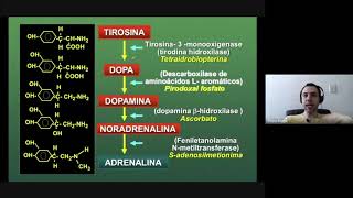 Farmacologia dos Agonistas Adrenérgicos  Parte 2 [upl. by Isola179]