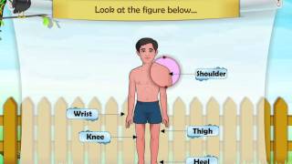 Body Vocabulary in French Part 1 basic French vocabulary from Learn French With Alexa [upl. by Ihculo]