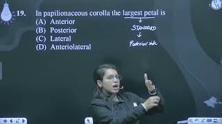 In papilionaceous corolla the largest petal is [upl. by Leavitt]