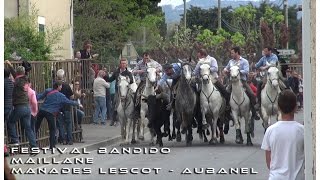 Festival Bandido Maillane 17042016 [upl. by Diarmuid]