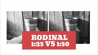 Rodinal 125 vs 150 [upl. by Lotsyrk]