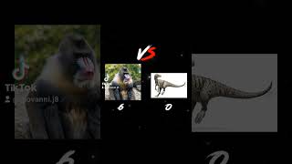 Mandrill vs Herrerasaurus [upl. by Adilem953]