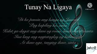 Tunay Na Ligaya Ryan Cayabyab  Piano Cover [upl. by Atsev734]